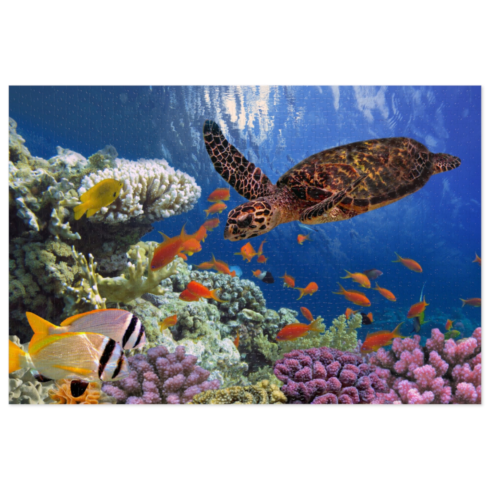 Jigsaw Puzzle: Under the Sea Turtle Calming Design