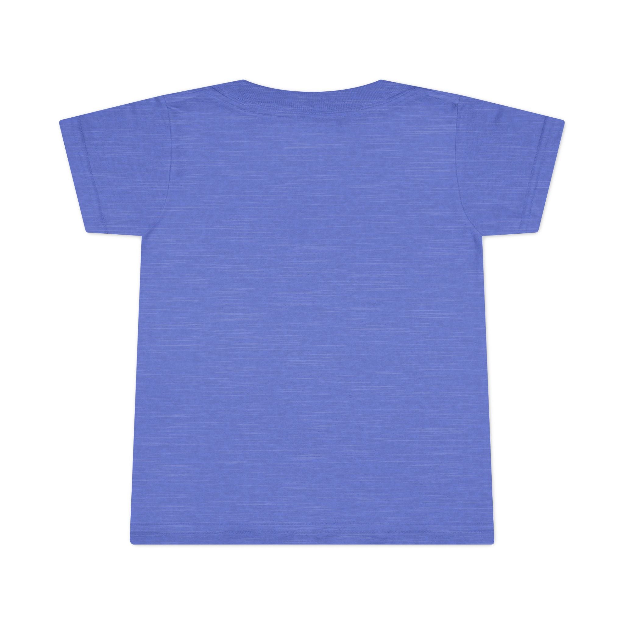 Copy of Unisex Garment-Dyed T-shirt